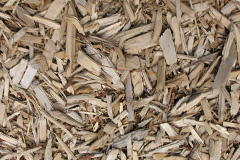 biomass boilers Ramnageo